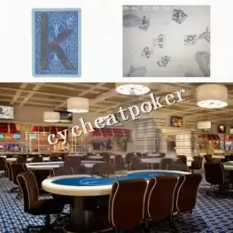 read marked cards Deivce ceiling-mounted luminaire poker camera read marked cards Deivce ceiling-mounted luminaire poker camera